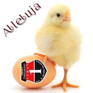 Szkoła Podstawowa nr 1 im. Tadeusza Kościuszki w Lubaniu